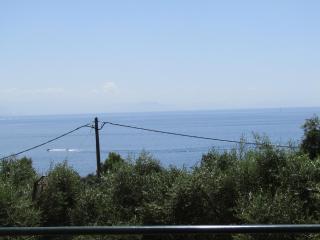 Barbati Beach Apartments - Barbati - 3