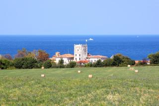 Apartments with a parking space Dajla, Novigrad - 6935 - Novigrad - 4