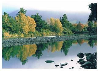 Creel Lodge - Turangi - 7