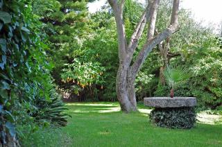 Villa Domenicale - Ágios Márkos - 8