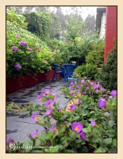 Apartamentos Guidan - 8