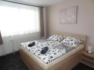 Apartmán Lednická - Břeclav - 3