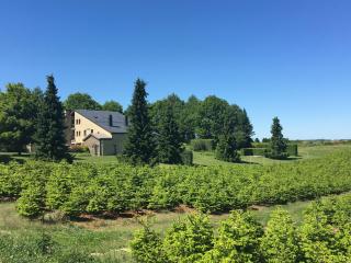 Apartments for Rent in Gros-Fays - Gros-Fays - 8