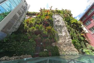 Inhala Hotel Garden - Madrid - 6