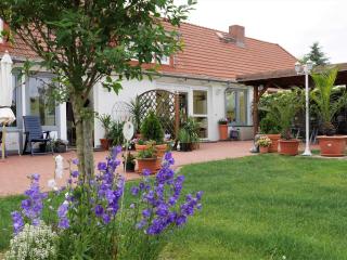 Huebsches Appartement in Am Salzhaff mit Kamin - Rakow - 0