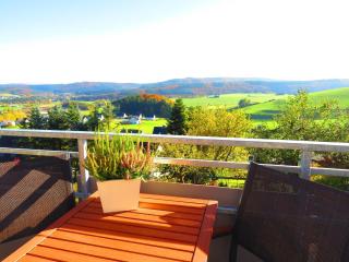 Apartment near the ski area - Medebach - 5