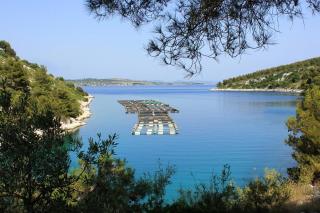 Seaside secluded apartments Cove Dumboka bay - Dumboka (Dugi otok) - 489 - 8