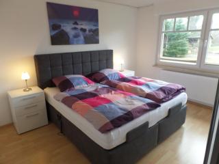 Ferienhaus am Emspark - Leer - 1