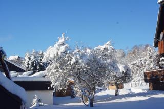 Landhotel Garni Schweizerhaus - Schönwald - 4