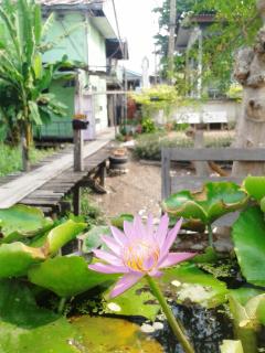 Ray Nu Guest House - Phra Nakhon Si Ayutthaya - 8