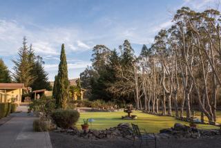 Sonoma Coast Villa - Bodega - 7