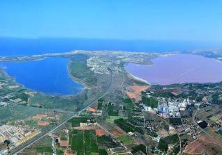 Apartment Laguna - Torrevieja - 9