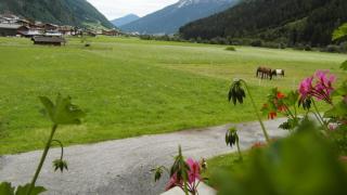 Luenerhof - Neustift im Stubaital - 7