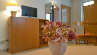 Apartmenthaus Aurum - Ahlbeck - 3