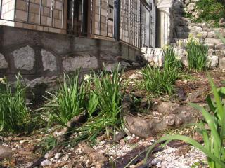 House on the beach - 4