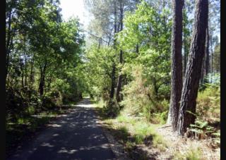 Location Fantaisie Ondres - Ondres - 4