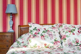 La Maison des Palmiers - 3