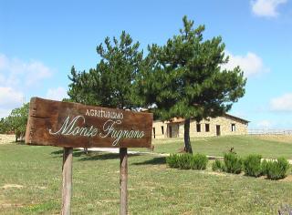 Monte Fugnano - Gubbio - 8