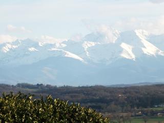 Gite 4, Domaine Logis Gascogne - Saint-Justin - 2