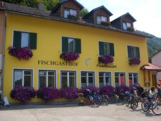 Fischgasthof Aumüller - Obermühl - 0