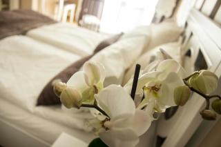 Lux new white apartment - Novi Sad - 6