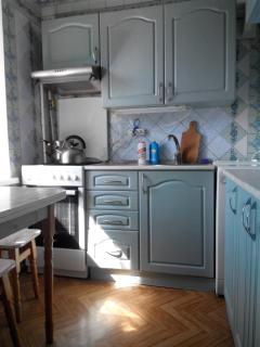 Comfortable flat near the Dnieper river in Kyiv - Kiev - 5