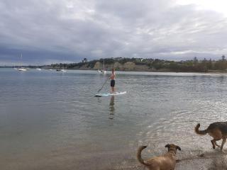 Close to beach - Auckland - 7