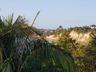 Close to beach - Auckland - 9