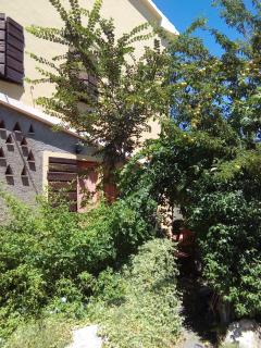 Carlo's Country House - Castellina Marittima - 4