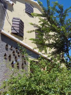 Carlo's Country House - Castellina Marittima - 3