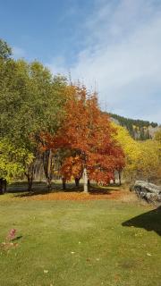 Rivermount Motel - 3