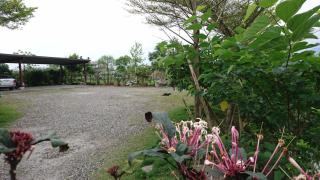 Dragonfly B&B - 3