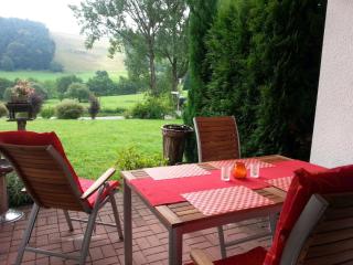 Cosy apartment over Usseln with private terrace - Willingen - 7