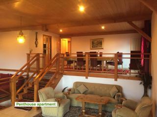 Le Green Chalet - 2