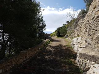 Villa Bocca del Pozzo - Gagliano del Capo - 4