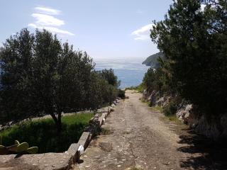 Villa Bocca del Pozzo - Gagliano del Capo - 2