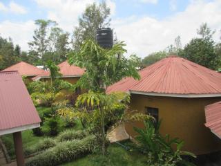 Kilimanjaro Eco Lodge - 1