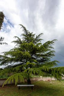 Vila Ana near Bale and Rovinj - Bale - 7