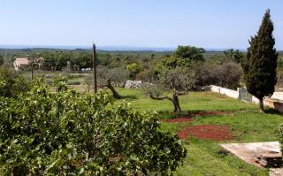 Vila Ana near Bale and Rovinj - Bale - 8