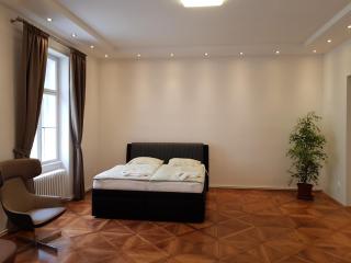 Prague Centre Apartments - Praga - 3