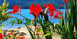 The Tuwanek Bed and Breakfast - 2