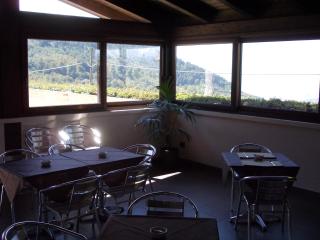 AgriHotel Papaya - San Pietro Apostolo - 7
