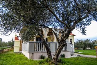 Kuća za odmor Dido Ive - Ugljan - 0