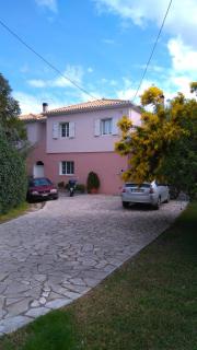 ligustro - Lefkada - 1