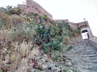 Antico Palmento - 6