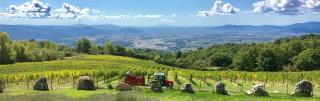 VALDONICA WINERY Fine Dine & Wine Hotel - Sassofortino - 6