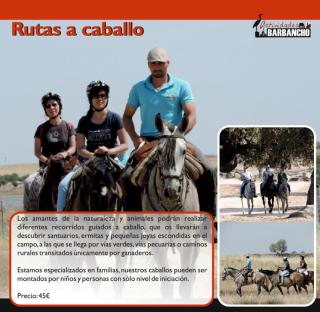 Apartamento Barbancho - Cáceres - 7