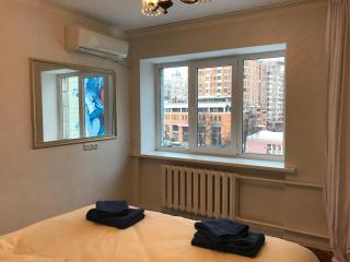 Sunny apartment overlooking the royal village - Kiev - 4