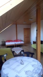 Apartmány nad Otavou - Zvíkovské Podhradí - 9