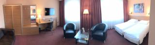 Hotel Restauracja Willa Radwan - Aleksandrów Kujawski - 1